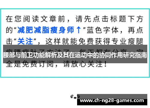 腰部与前卫功能解析及其在运动中的协同作用研究指南 腰部与前卫功能解析及其在运动中的协同作用研究指南